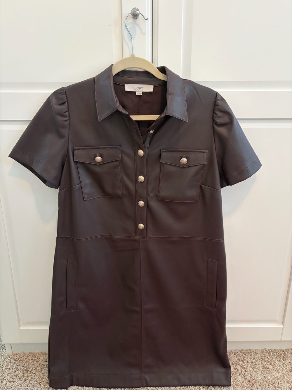 LOFT Chocolate Faux Leather Button-Front Shift Dress